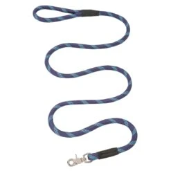 LEASH NYLON BLUE 1/2X6