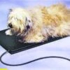 23" X 29" Large Heated Pet Mat -Pet Supply Store 076a3962 dead 49f1 8ad8 5c3d6b3b9465