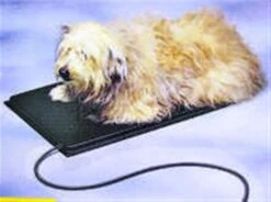 23" X 29" Large Heated Pet Mat