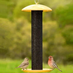 Perky-Pet® NO/NO Straight-Sided Finch Tube Feeder -Pet Supply Store 082fb3fd feb5 41a2 8cb5 8cac397286e6