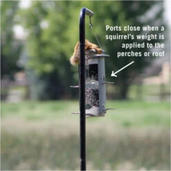 Armstrong® Squirrel-X1 Resistant Bird Feeder -Pet Supply Store 094978cd c375 4820 99a6 57e046ec22d3