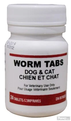 Wormer Tablets Cat And Dog 24 Pack