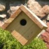 Backyard Boys® House Wren Cedar -Pet Supply Store 107570f8 146b 45b2 b9a7 9157f7e99379