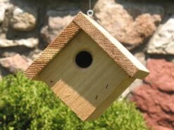Backyard Boys® House Wren Cedar