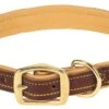 1" X 23" WEAVER DEER RIDGE LEATHER COLLAR -Pet Supply Store 1d3f6f47 801a 4271 abcd 6a7f4a004b52