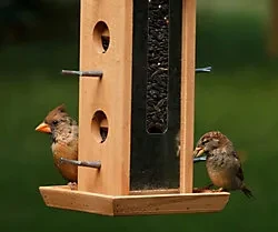 Perky-Pet® Jay Wood Bird Feeder 6 Perky-Pet® Jay Wood Bird Feeder - Image 4
