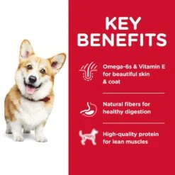 Hill's® Science Diet® Adult Small Bites Dog, Chicken 2.26kg 10 Hill's® Science Diet® Adult Small Bites Dog, Chicken 2.26kg -Pet Supply Store 1f8575e1 0c9d 45fb b305 7cce38fd5a9c