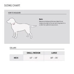 COLLAR JOURNEYMAN CARHARTT BRW -Pet Supply Store 229df614 9a3d 427d b2bd b894ce1da3e0