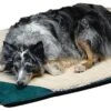 API® Large Heated Pet Bed -Pet Supply Store 2450c0bc 0a27 4bb0 a569 23ffabe40780