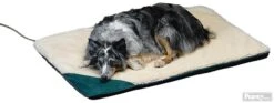 API® Large Heated Pet Bed