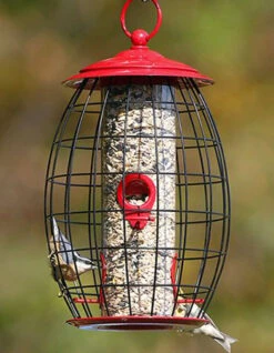 Stokes® More Birds® Sweet Treat Café Tube Bird Feeder 8 Stokes® More Birds® Sweet Treat Café Tube Bird Feeder -Pet Supply Store 25ac22e3 3f40 4f0c 8b85 d6a1ddc10d11