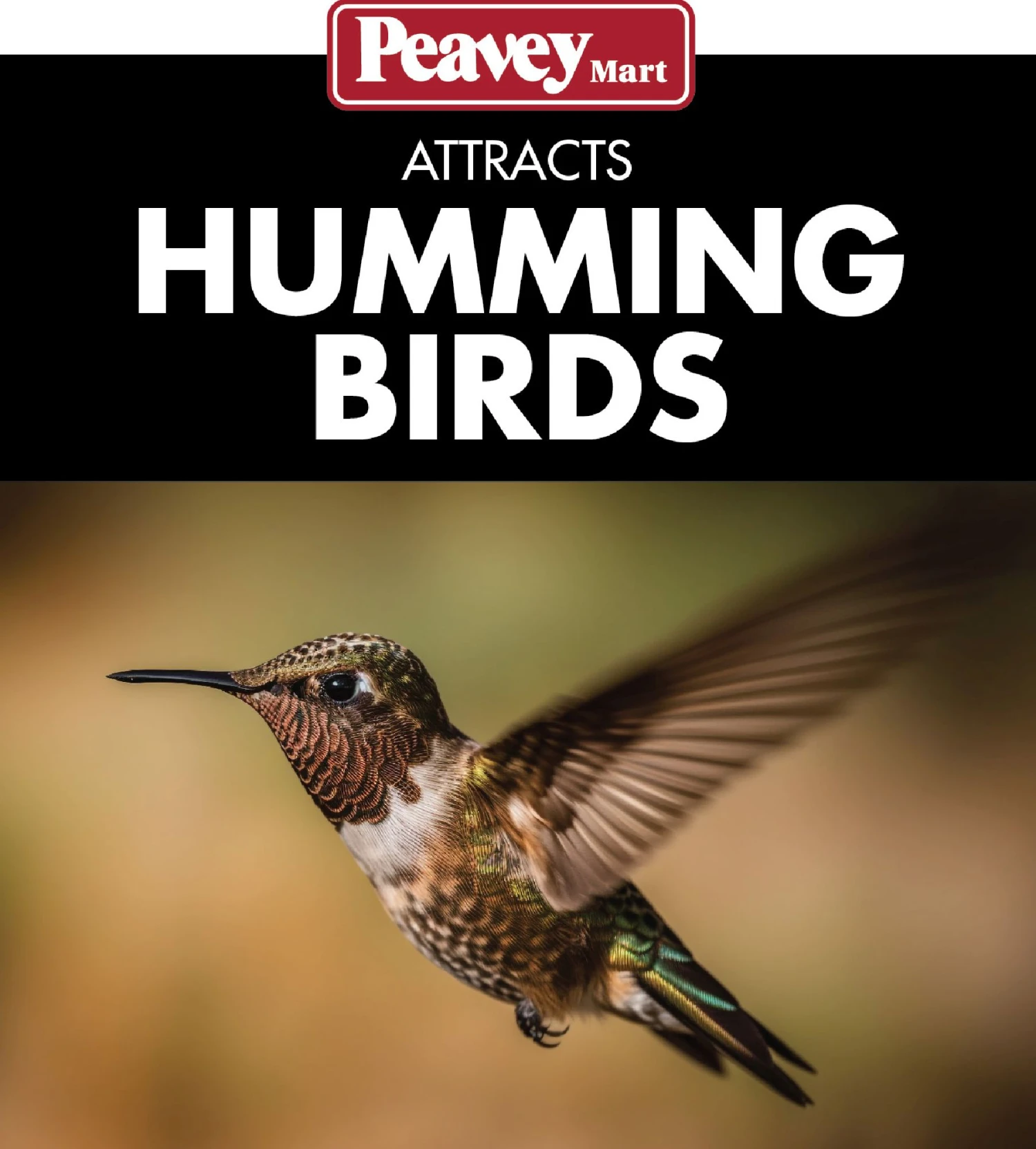 Daisy® Hummingbird Flower Feeder 16 Oz 4 Daisy® Hummingbird Flower Feeder 16 Oz - Image 2