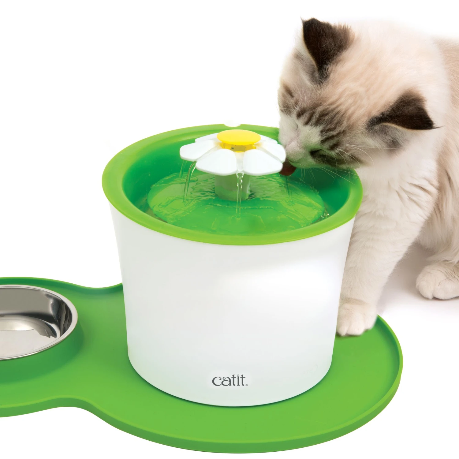 CATIT 2.0 PEANUT PLACEMAT GREEN 3 CATIT 2.0 PEANUT PLACEMAT GREEN