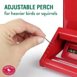 Perky Pet® Country Home Style Bird Feeder -Pet Supply Store 34c54b7e 9919 4cb8 8a89 69418186ac15