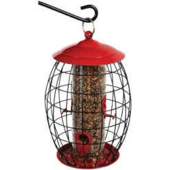 Stokes® More Birds® Sweet Treat Café Tube Bird Feeder 7 Stokes® More Birds® Sweet Treat Café Tube Bird Feeder -Pet Supply Store 34cbef40 35e2 469b ae89 f28dc6a3a17b