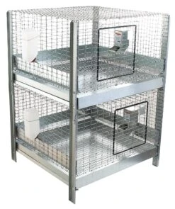 Pet Supply Store -Pet Supply Store 3577638c 5093 46e0 a431 9294be929037