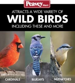 Perky-Pet® Copper Panorama Bird Feeder 15 Perky-Pet® Copper Panorama Bird Feeder -Pet Supply Store 36b7cc14 16ef 44bc 8d86 9f81e7414de6