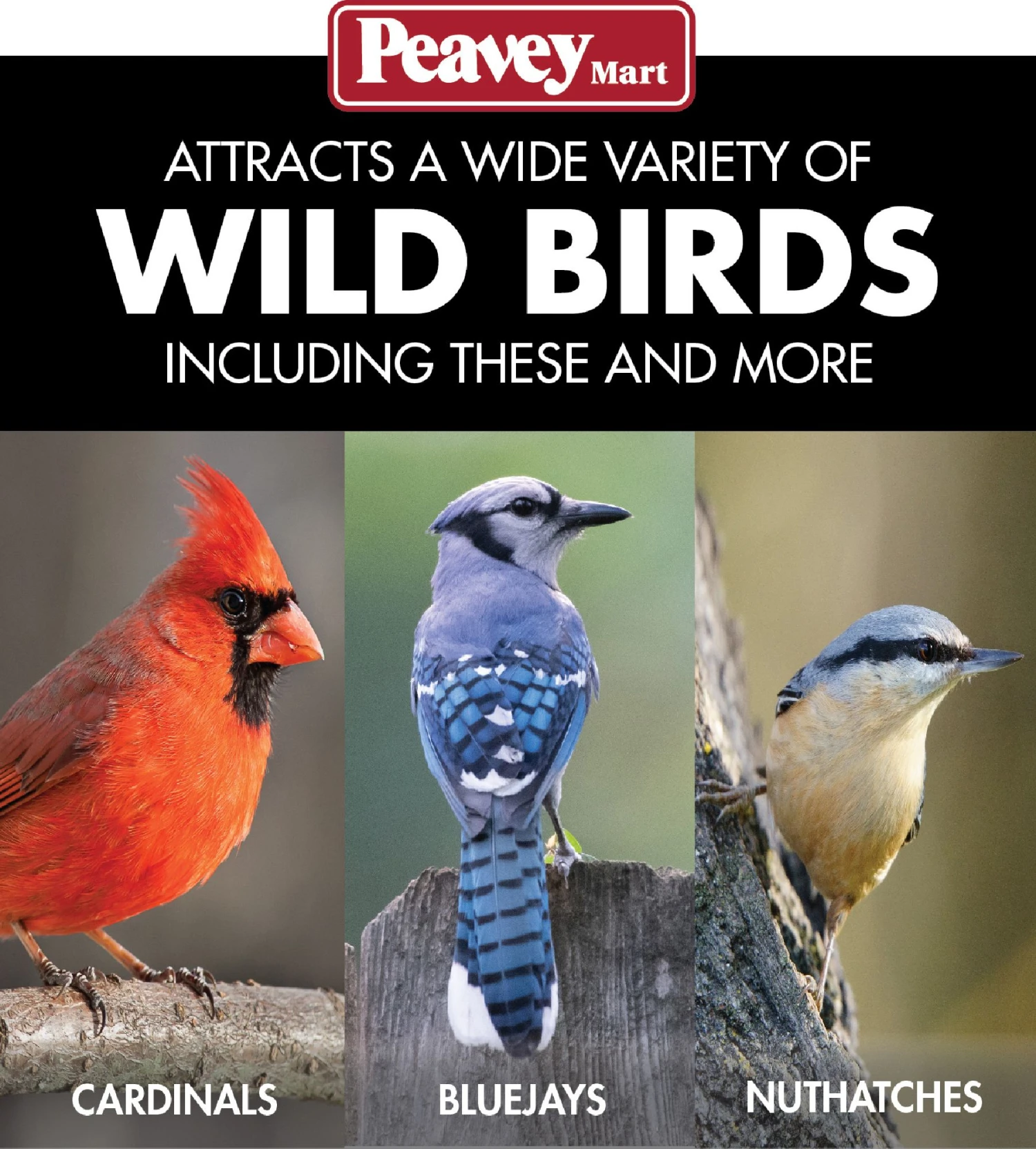 Perky-Pet® Copper Panorama Bird Feeder 9 Perky-Pet® Copper Panorama Bird Feeder - Image 7