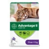 Advantage II Flea Treatment For Large Cats - 2 Dose 2 Advantage II Flea Treatment For Large Cats - 2 Dose -Pet Supply Store 3c35445c 7ad0 4603 9f07 12c8a14e8510
