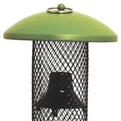 Perky-Pet® Straight-Sided Sunflower Tube Wild Bird Feeder -Pet Supply Store 576b2fb9 daca 42a7 bbcc 54bd81afe345