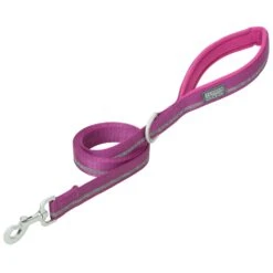 LEASH NYLON PURPLE 1X4
