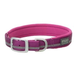 COLLAR NYLON PURPLE 1X19