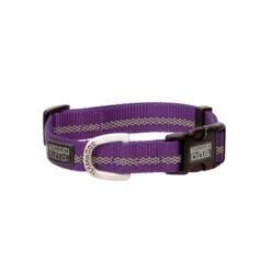 COLLAR NYLON PURPLE MD