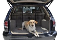 VEHICLE PET BARRIER