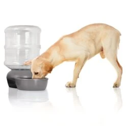 WATERER LEBISTRO DUO PACK