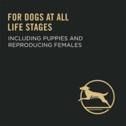 PURINA PRO PLAN Purina® Pro Plan® Performance 30/20 All Ages Salmon & Rice Formula Dog Food 15kg 16 PURINA PRO PLAN Purina® Pro Plan® Performance 30/20 All Ages Salmon & Rice Formula Dog Food 15kg -Pet Supply Store 71a8b3d0 838d 4579 b273 0073a1e81838