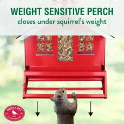 Perky Pet® Country Home Style Bird Feeder -Pet Supply Store 7dd9861e 30aa 469d 9522 31c05f8bee4a