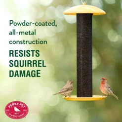 Perky-Pet® NO/NO Straight-Sided Finch Tube Feeder -Pet Supply Store 884470d6 ff36 4dc4 a0dd 0e357fdb43ea