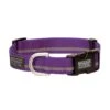 COLLAR NYLON PURPLE LG -Pet Supply Store 892d0184 b8f4 4d0f 8501 6989dfc6ee24