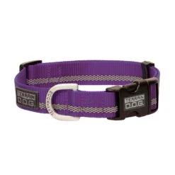COLLAR NYLON PURPLE LG