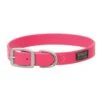 COLLAR BRAHMA PINK 1X21 -Pet Supply Store 89707871 0acb 4137 856f fb470505f0bc