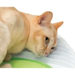 Catit Senses 2.0 Wellness Center -Pet Supply Store 8b53a1ce 7a09 4c2b a3d2 0afdb0c4c70d