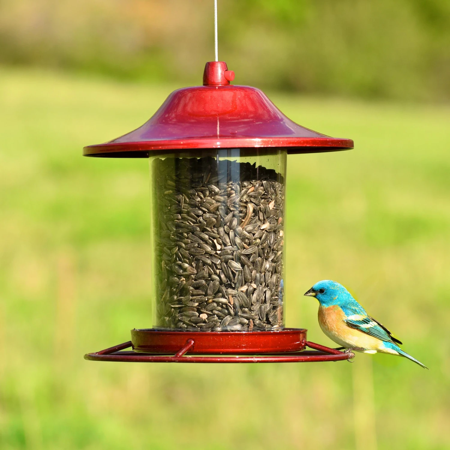 Perky-Pet® Panorama Wild Bird Feeder 5 Perky-Pet® Panorama Wild Bird Feeder - Image 3