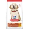 Hill's® Science Diet® Puppy Large Breed, Chicken 15.5kg -Pet Supply Store 8ee58967 1546 4081 a303 5b9e14419600