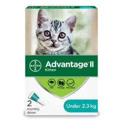 Advantage II Flea Treatment For Kittens - 2 Dose