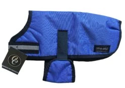 Blue Dog Coat With Strong Piping