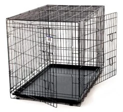 Petmate 48" Double Door Kennel Crate