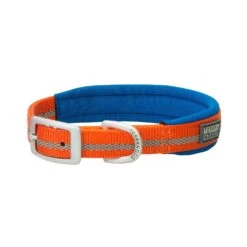 COLLAR NYLON ORANGE 3/4X13