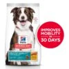 Hill's® Science Diet® Adult Mobility Dog, Chicken 15.5kg -Pet Supply Store 954c7dd4 cb9c 4020 beb6 214e07123c5d
