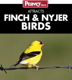 Stokes® More Birds® Finch Screen Tube Bird Feeder -Pet Supply Store 96ada356 ad43 4a7d 9cda 9d8bb774f907