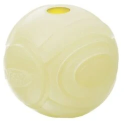 Nerf LED Glow Dog Toy