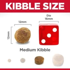 Hill's® Science Diet® Adult Light Large Breed, Chicken 15.5kg -Pet Supply Store 9ff6054e ed4a 4b48 b56c 43cce699b7dd