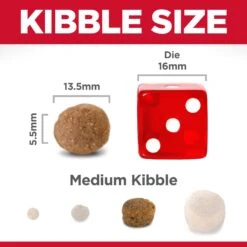 Hill's® Science Diet® Puppy Large Breed, Chicken 15.5kg -Pet Supply Store a326072a 869b 4f38 9720 883e82ebf19b