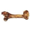Cured Dino Bone -Pet Supply Store a33a7a84 3aba 4232 af22 0090da213a7d