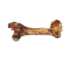 Cured Dino Bone