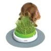 Catit Senses 2.0 Grass Planter -Pet Supply Store ace42e93 9fc1 48b9 b59c 0b8774102b72